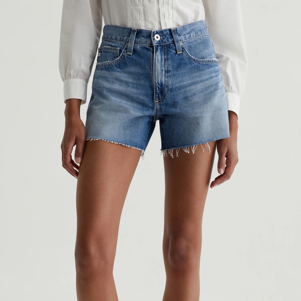 NWT AG Clove Shorts (High Rise)